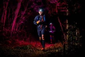 BIB: 
                            <button type="button" onclick="openModal(7018319)" class="btn btn-primary btn-sm float-right btn-popup" data-toggle="modal" data-target=".modal-high-quality">
                        <i class="fas fa-shopping-cart"></i> Add to Cart
                    </button>
                                            <button type="button" onclick="isThisMe(7018319, true)" class="btn btn-success btn-sm float-right btn-popup btn-isme hidden" data-toggle="tooltip" data-placement="bottom" title="นี่คือรูปของคุณใช่ไหม คลิกที่นี่เพื่อเอาเข้าอัลบั้ม">
                        <i class="fas fa-plus"></i> Add to album
                    </button>
                    <button type="button" onclick="isThisMe(7018319, false)" class="btn btn-warning btn-sm float-right btn-popup btn-isnotme hidden">
                        <i class="fas fa-ban"></i> Remove from album
                    </button>